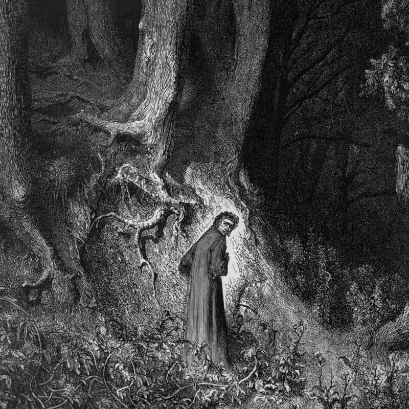 Dante lost in the dark wood, Gustave Doré's engraving for the first canto of the Inferno